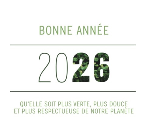 Roman réseaux sociaux Severine Dalla